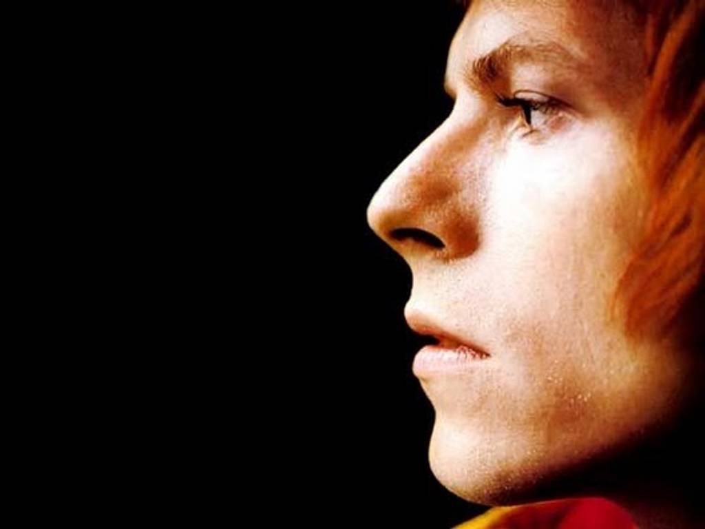 David Bowie 1024×768 Wallpaper 935005