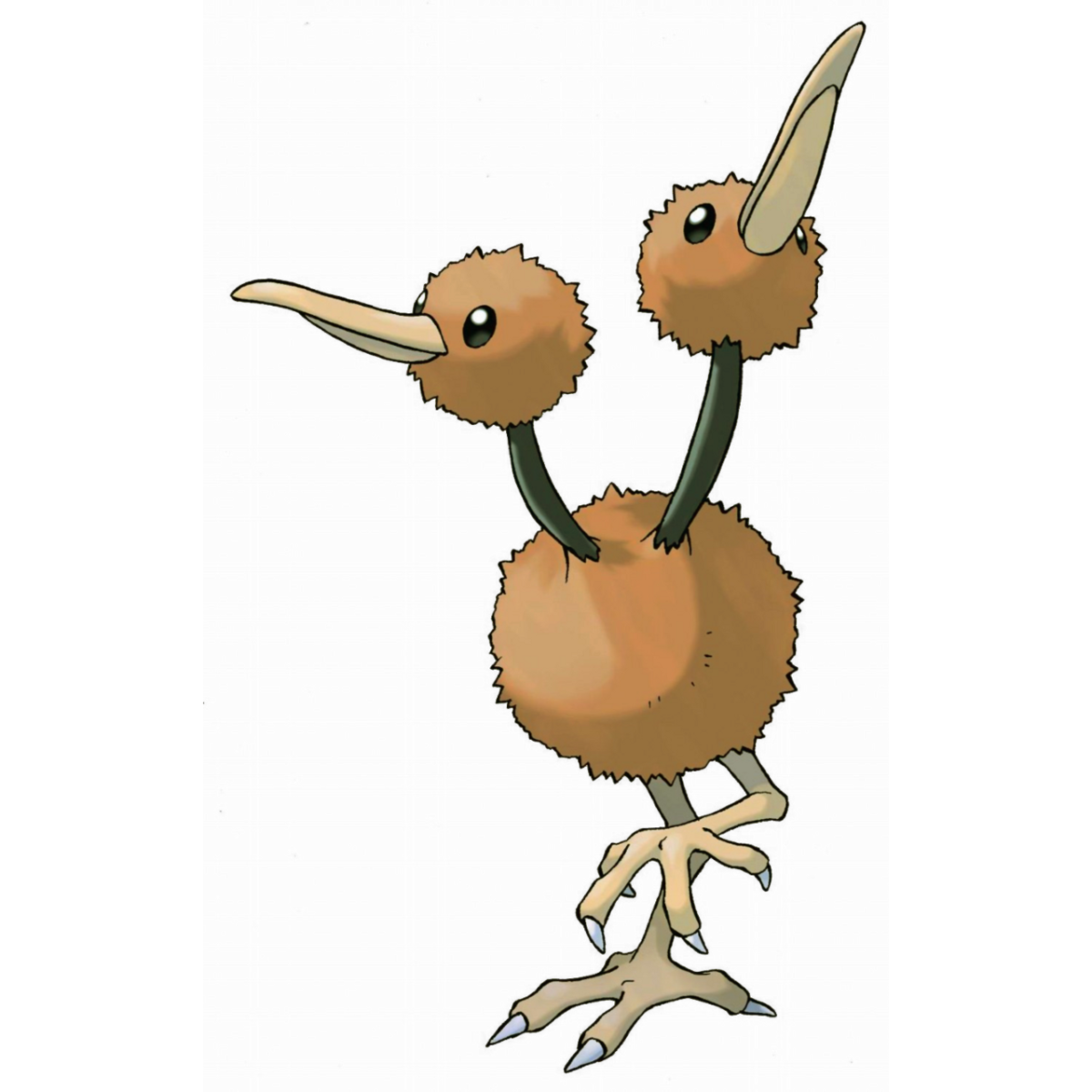 Doduo | Full HD Pictures