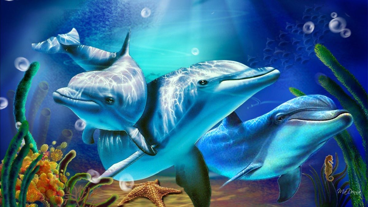 3D Living Dolphin HD Wallpapers – HD Wallpapers Inn