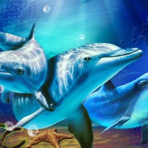 download 3D Living Dolphin HD Wallpapers – HD Wallpapers Inn