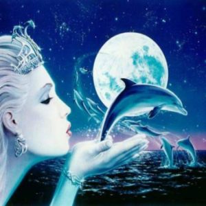 download Free Dolphin Wallpaper | coolstyle