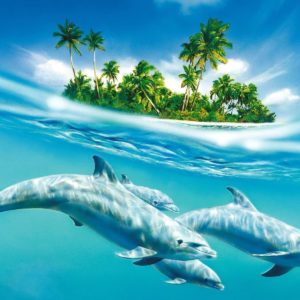 download Dolphin Animated wallpaper