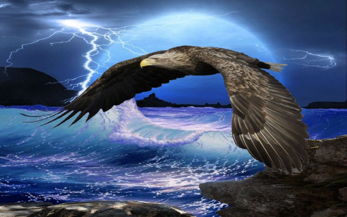Flying Eagle HD Wallpapers | Eagle Flying HD Pictures | HD …