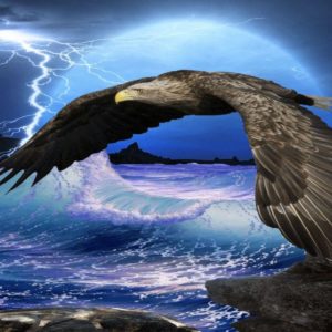 download Flying Eagle HD Wallpapers | Eagle Flying HD Pictures | HD …