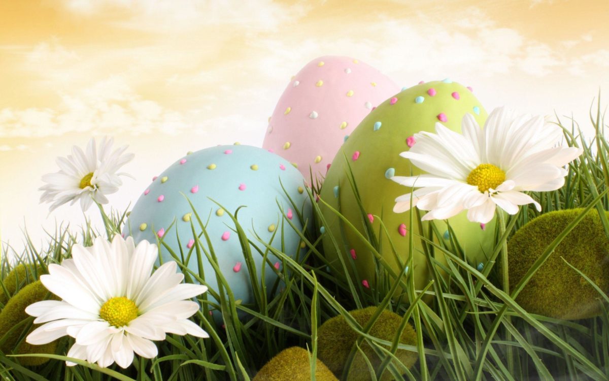 Dream Spring 2012 – easter Wallpapers – HD Wallpapers 96616