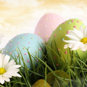 download Dream Spring 2012 – easter Wallpapers – HD Wallpapers 96616