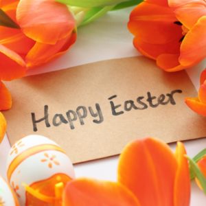 download Happy Holliday, Happy Easter and Happy New Years Wallpapers HD …
