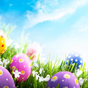 download Easter Pics – Colours Desktop Wallpaper