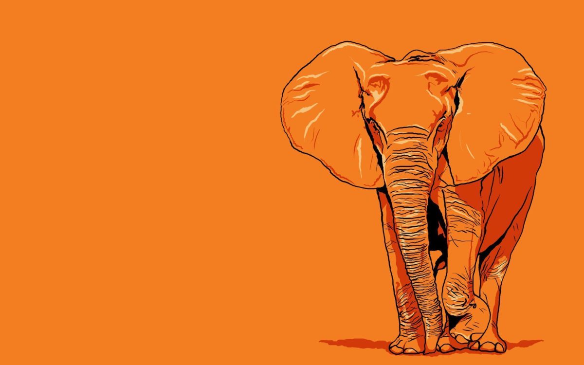 Elephant Wallpaper Art – Animal Wallpapers (7112) ilikewalls.