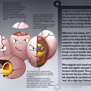 download Exeggcute- Pokedex Entry by Christopher-Stoll on DeviantArt