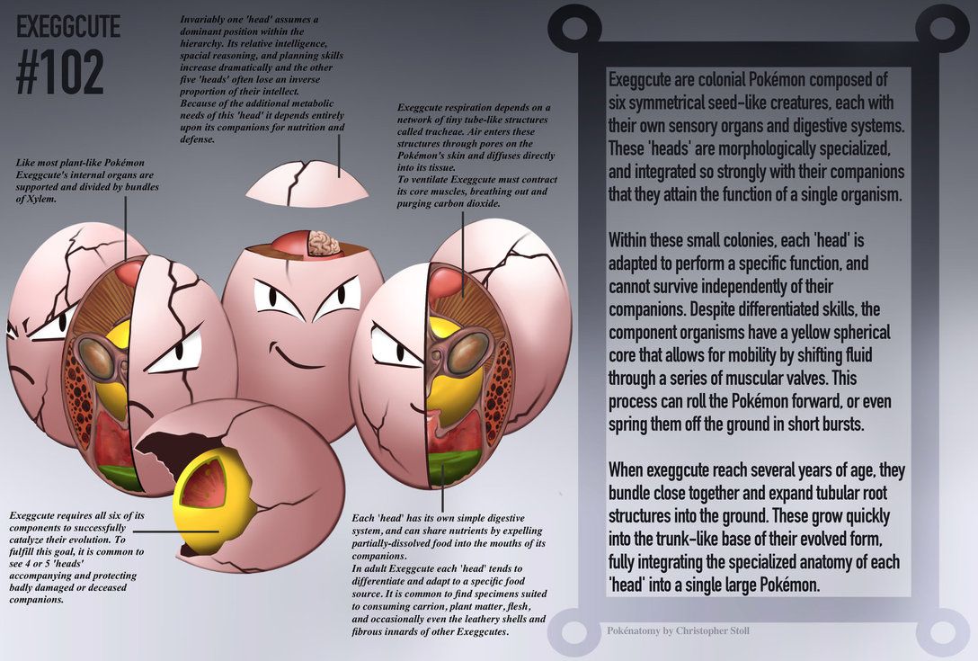 Exeggcute- Pokedex Entry by Christopher-Stoll on DeviantArt