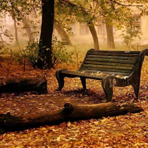 download Fall HD Wallpapers | Fall Pictures | Autumn Wallpaper | Cool …