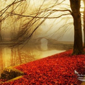 download Autumn wallpaper – Autumn Wallpaper (9444951) – Fanpop