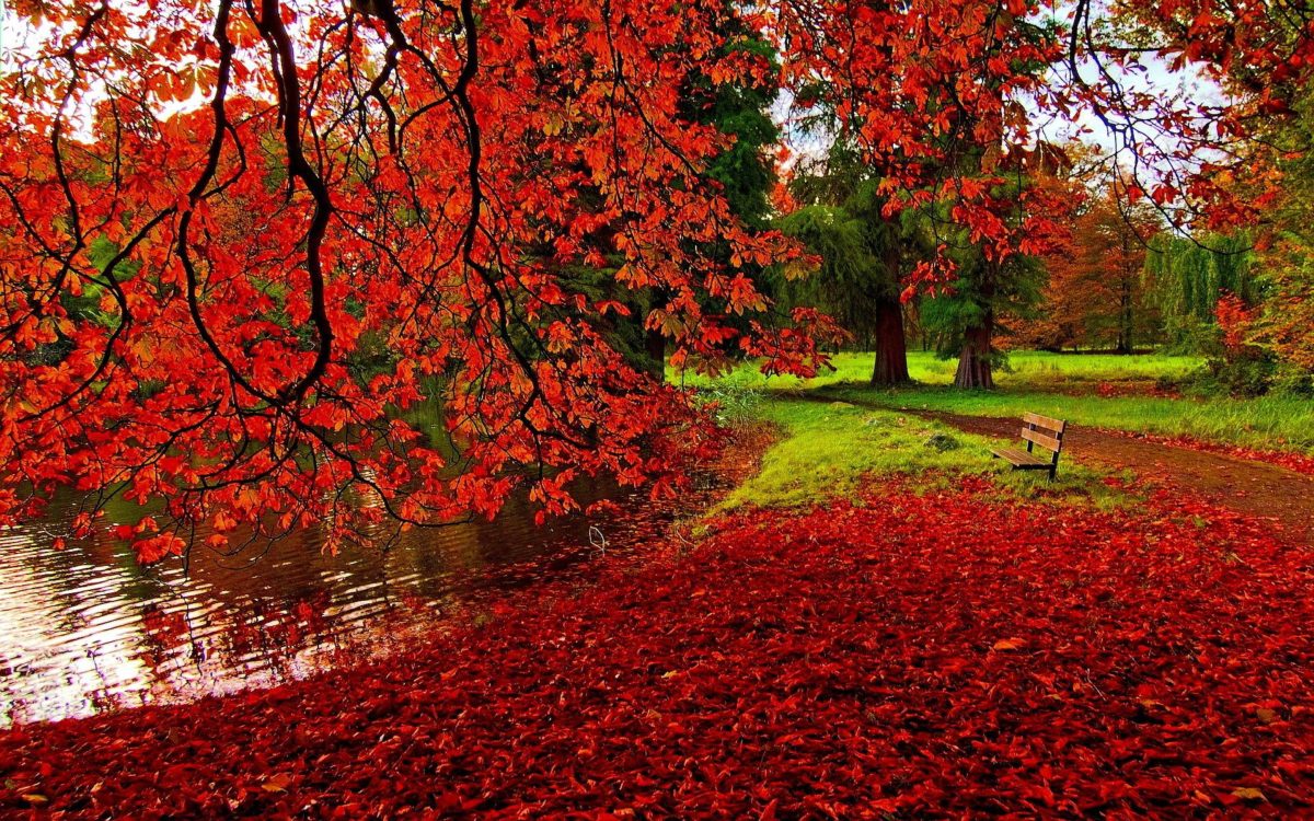 Autumn Wallpapers – Full HD wallpaper search