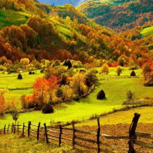 download fall wallpaper – BinFind Search Engine