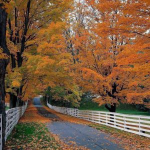 download Fall Wallpaper – Autumn Season's Wallpapers (3723) – HD Desktop …
