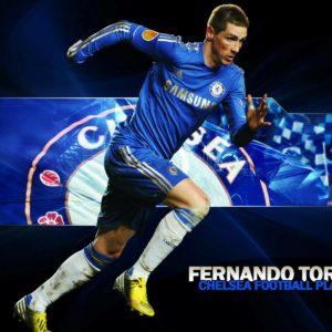 download Fernando Torress Android Mobile Professional Football Tips …