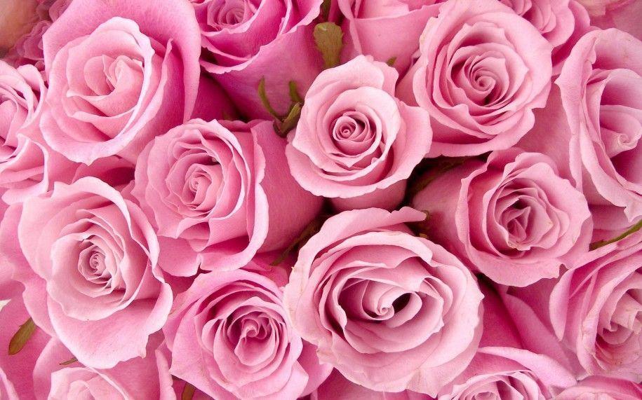 Page 2423 | Pink Flower Iphone Wallpaper Flowers Wallpapers …