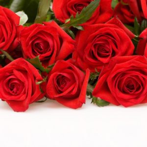 download Red Roses Wallpaper | Wallpaper Color