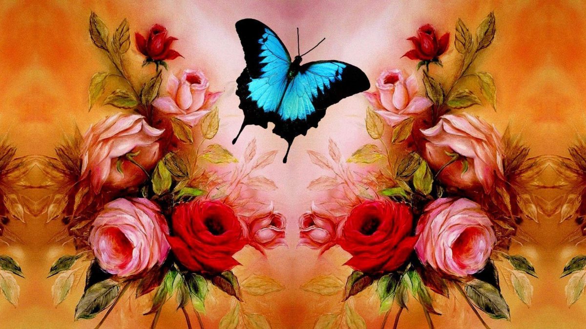 Valentine's day Wallpaper-Butterfly Roses Wallpapers