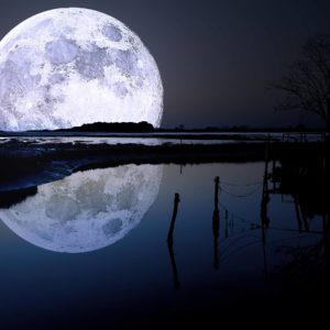 download Full Moon Wallpapers | HD Wallpapers