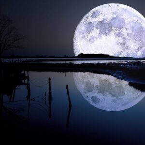 download Full moon lagoon Wallpapers | Pictures