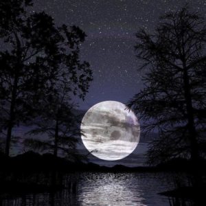 download Full Moon Wallpaper | coolstyle wallpapers.