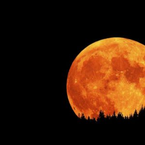 download Wallpapers For > Red Full Moon Wallpaper