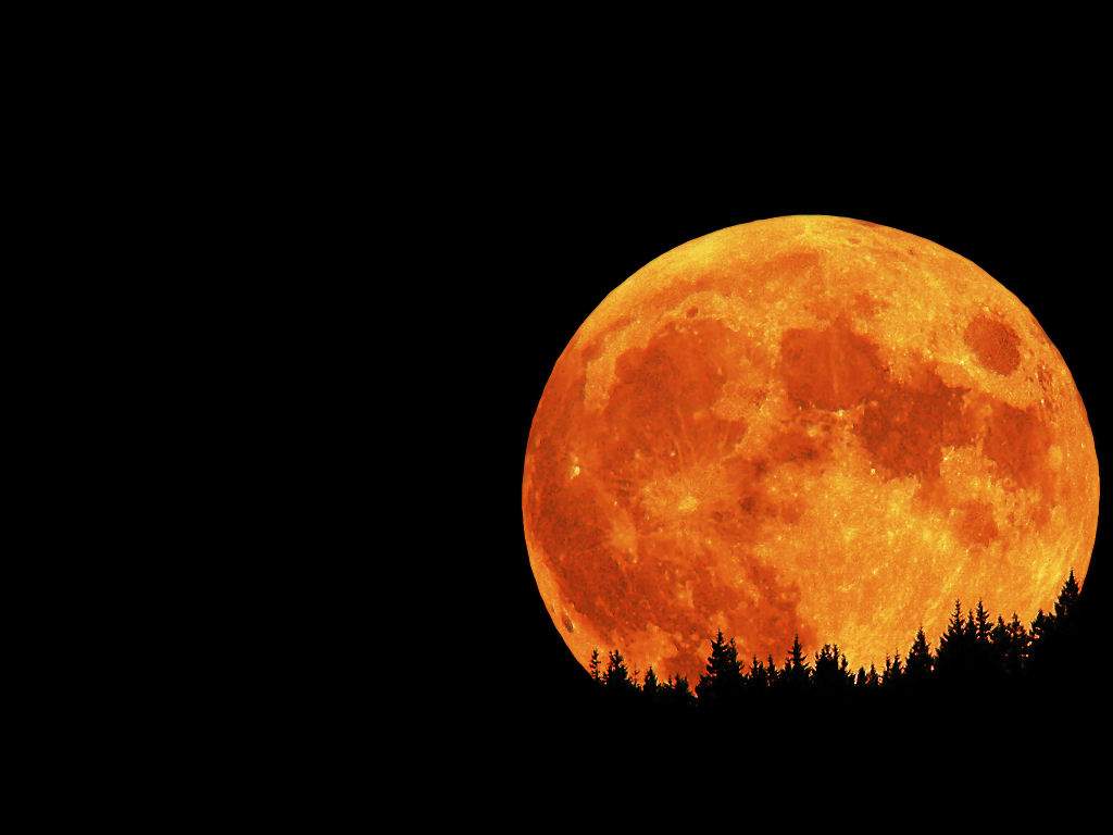 Wallpapers For > Red Full Moon Wallpaper