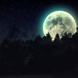 download full moon beyond the pines wallpaper | Wallpaper