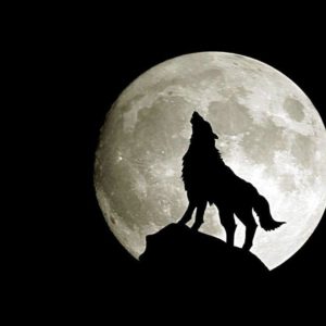 download Full Moon Wallpaper Desktop #3821 Wallpaper | Wallshed.