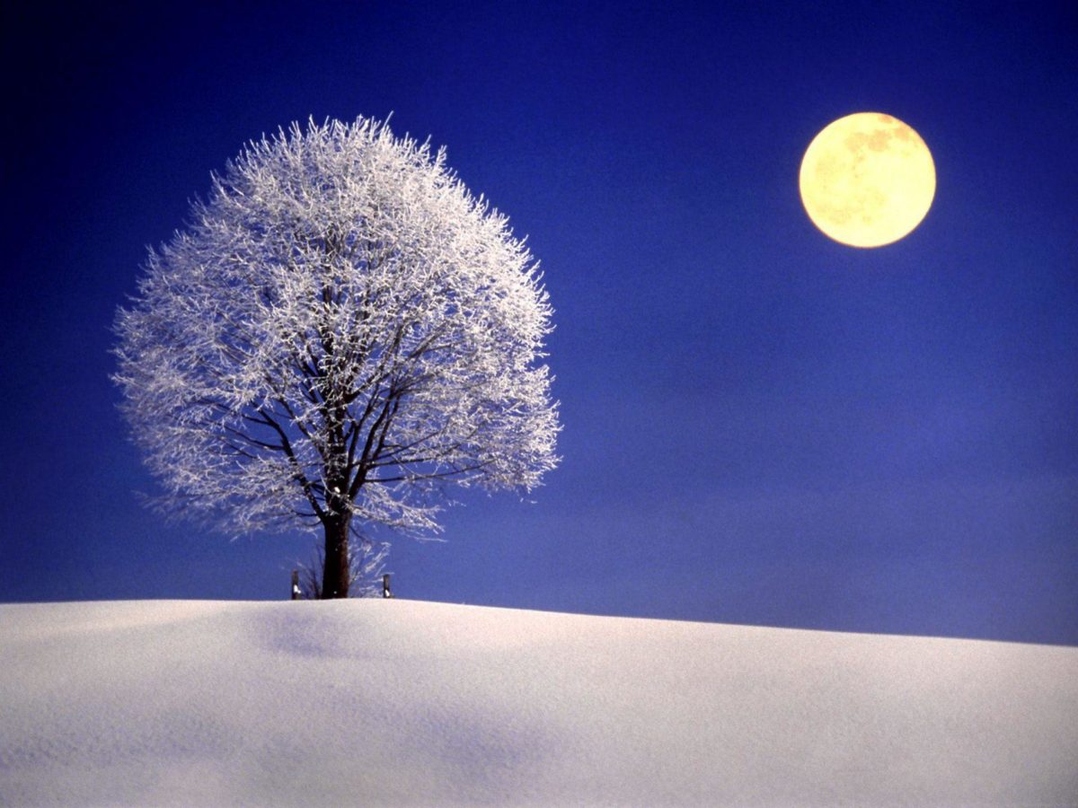 Winter Night with Full Moon widescreen wallpaper | Wide-