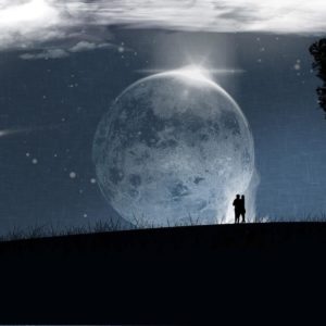 download Wallpapers For > Forest Full Moon Wallpaper