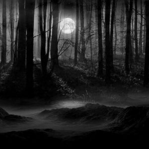 download Dark Night Full Moon Wallpaper and Picture | Imagesize: 251 kilobyte