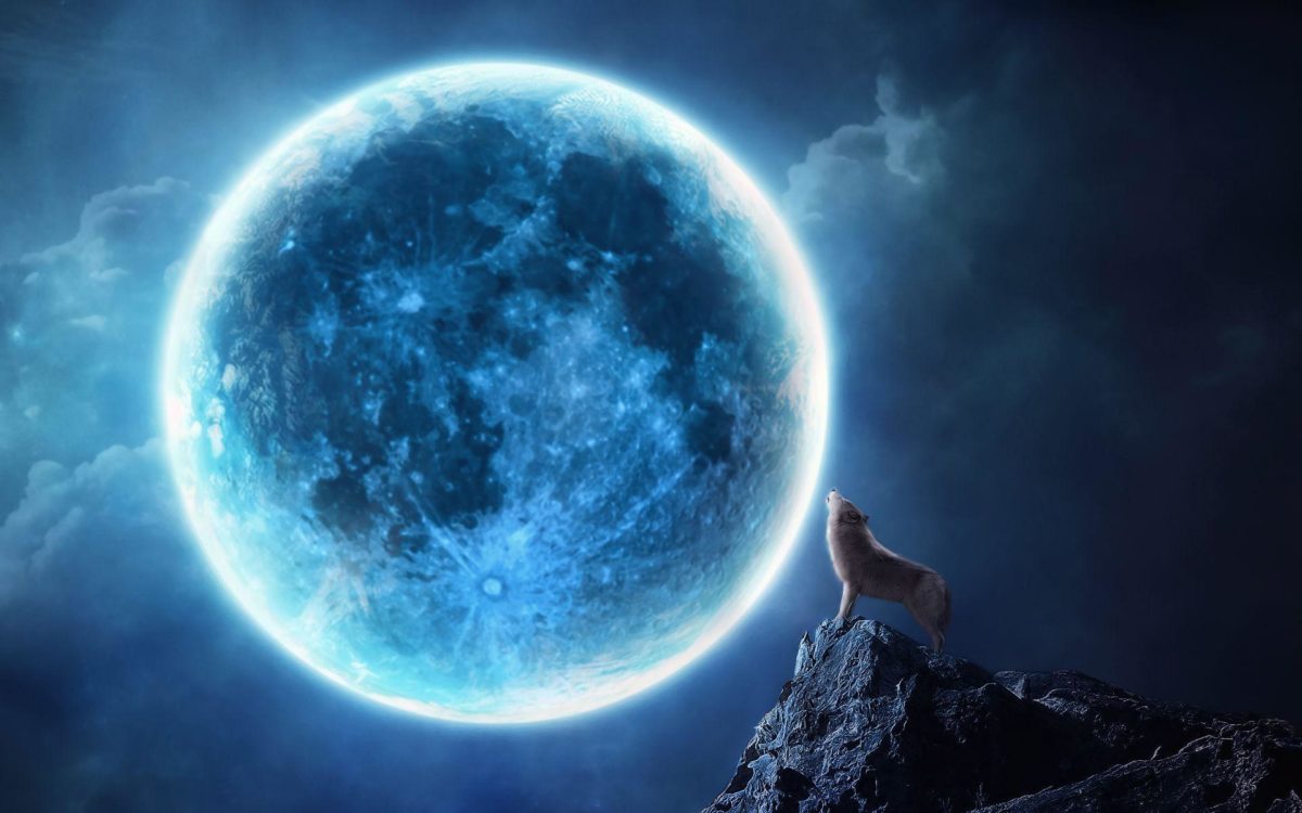 Howling wolf full moon Wallpapers | Pictures
