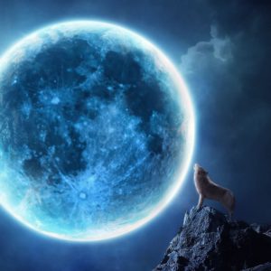 download Howling wolf full moon Wallpapers | Pictures