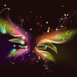 download Butterflies Desktop Wallpaper | Download HD Wallpapers