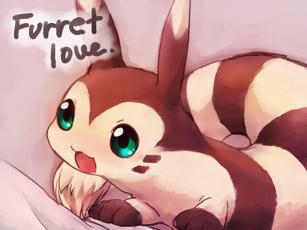 Furret Is Love, Furret Is Life | Pokémon | Know Your Meme