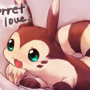 download Furret Is Love, Furret Is Life | Pokémon | Know Your Meme