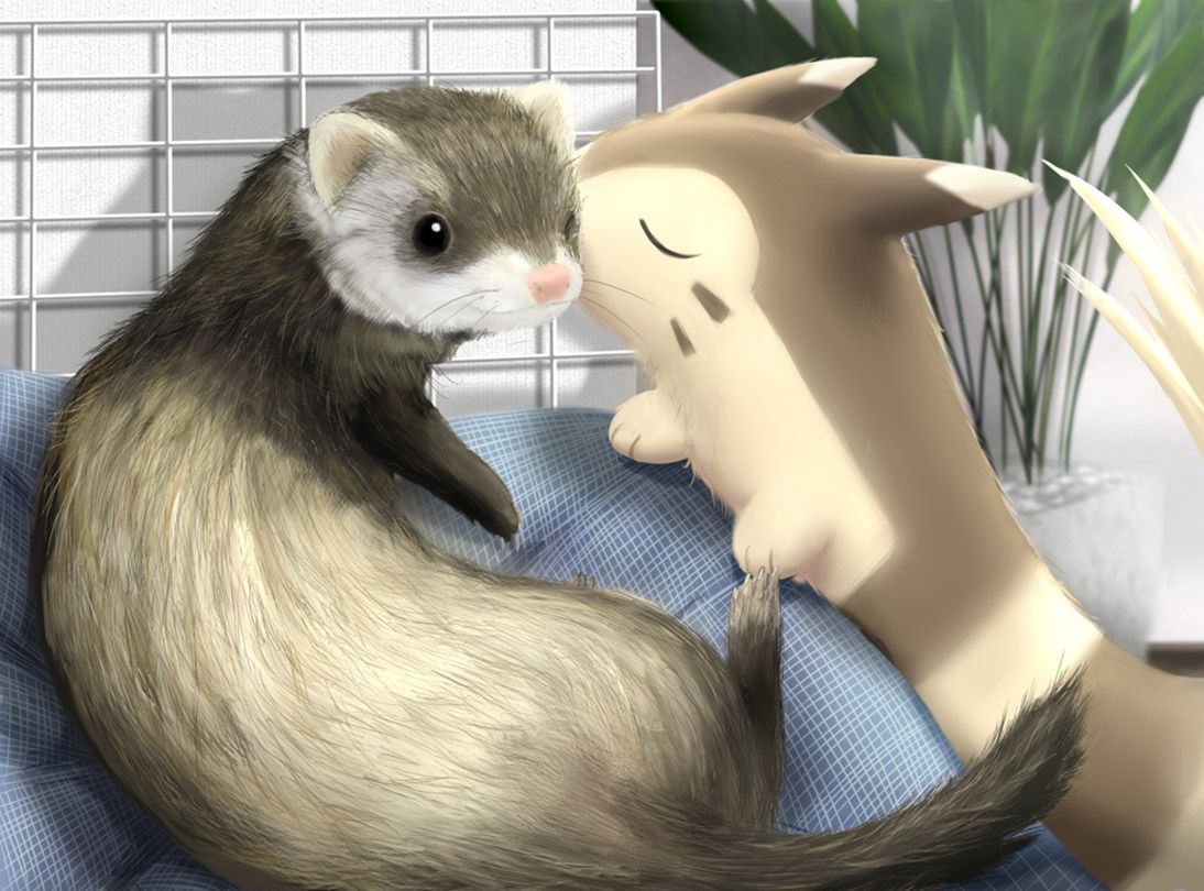 Furret – Pokémon – Zerochan Anime Image Board