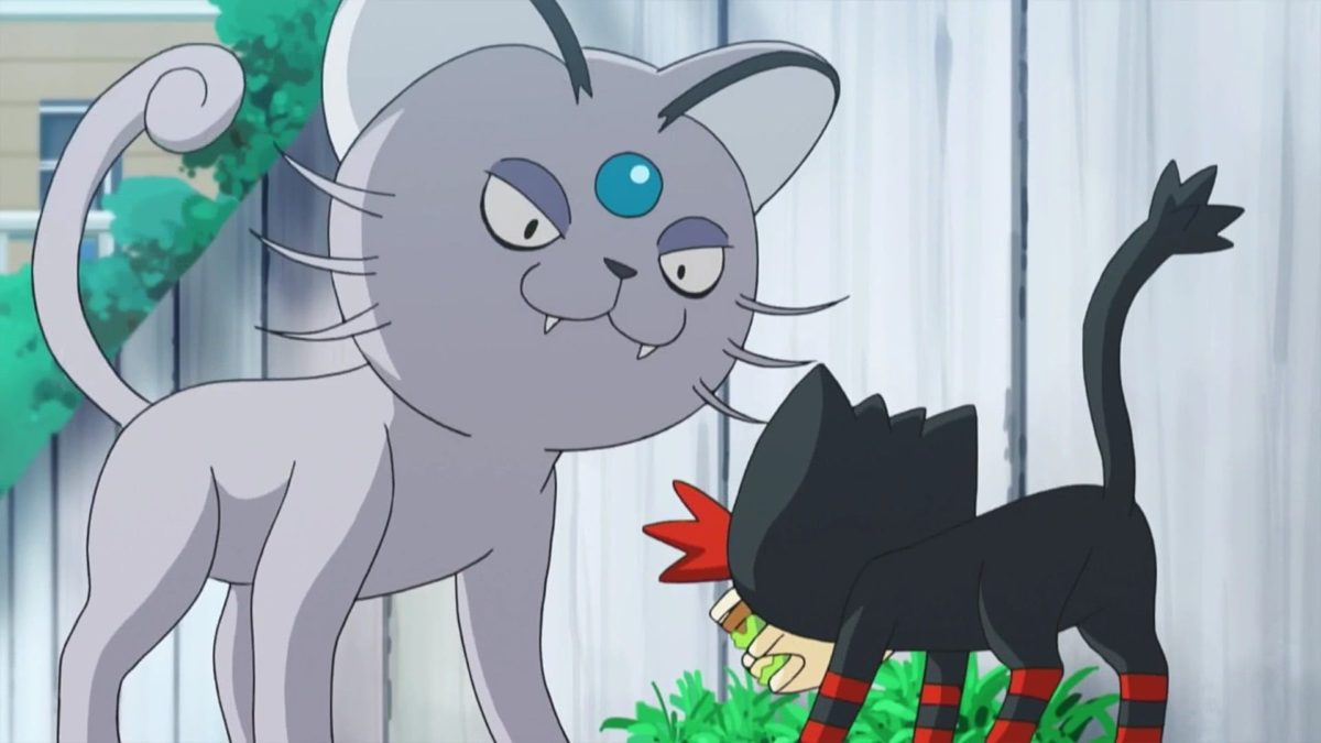 All Cat Inspired Pokemon – Purrfect Love