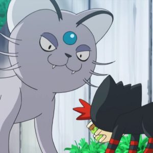 download All Cat Inspired Pokemon – Purrfect Love