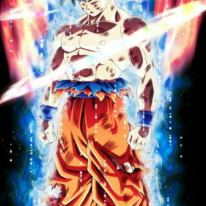 download Goku – Ultra Instinto – Torneo del Poder – DRAGÓN BALL SUPER …