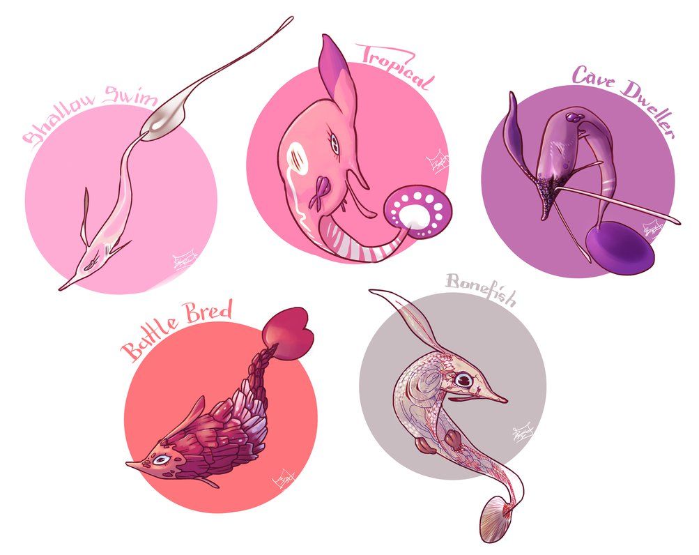 Gorebyss Variations by MadCookiefighter on DeviantArt