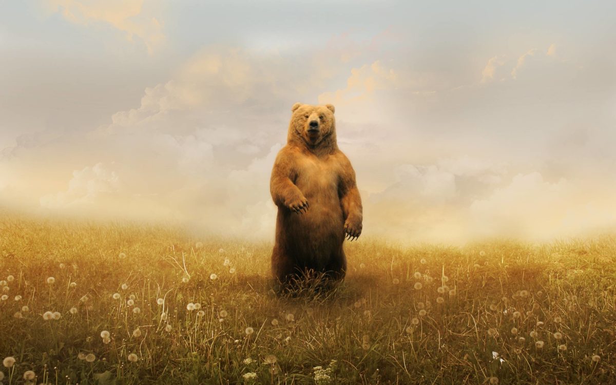 Bear Art Wallpaper – Viewing Gallery