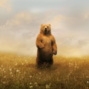 download Bear Art Wallpaper – Viewing Gallery