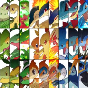 download Grovyle – Pokémon – Zerochan Anime Image Board