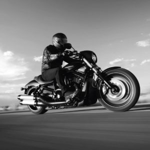 download Harley Davidson Night Rod wallpaper – 981371