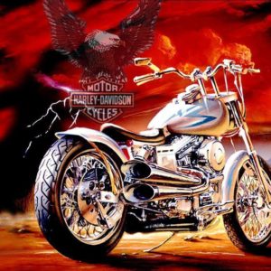 download Harley Davidson – Harley-Davidson Wallpaper (10642694) – Fanpop