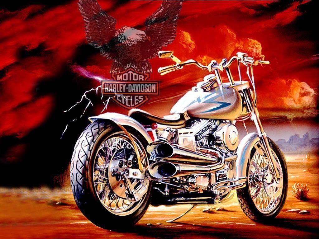 Harley Davidson – Harley-Davidson Wallpaper (10642694) – Fanpop